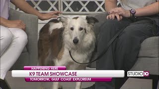 Alabama Task Force One- K9 Team Showcase