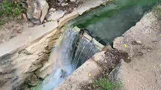 Hot Springs National Park Waterfall and Basin