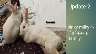 Update 2 | Binky Milky के लिए मिल गई है FAMILY |  RESCUED