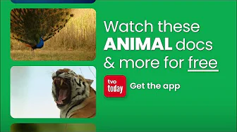 Critter Collection  | Get the TVO Today App