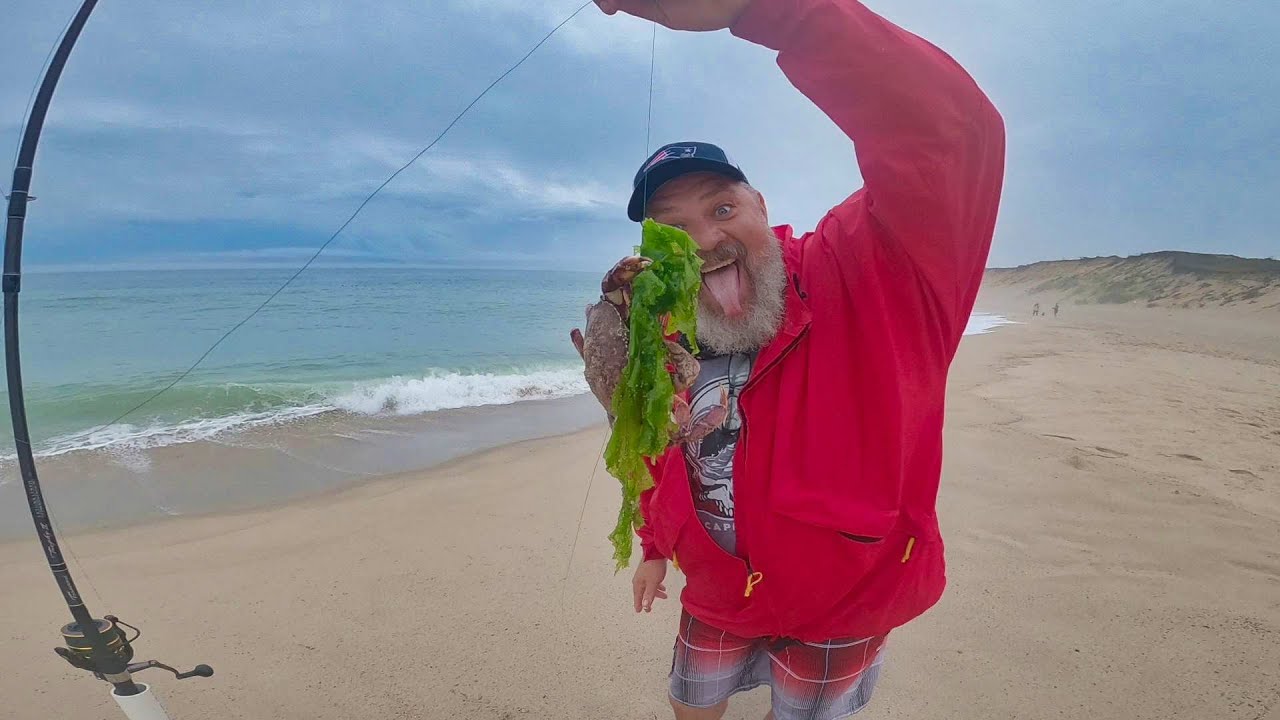 Stealth camping in cape cod