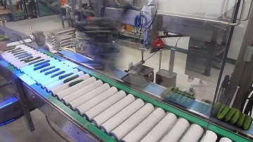 Robotic Grading and Loading MiniCucumber Trays
