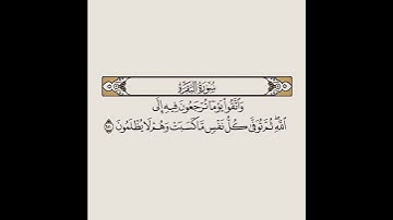 #اكسبلور #القرآن_الكريم #تيك_توك #دويتو #سورة_البقرة