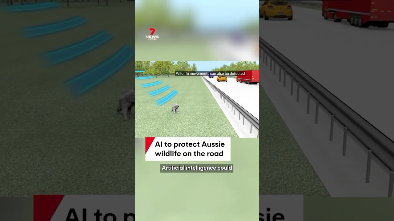 NSW developing AI cameras to detect wildlife on roads