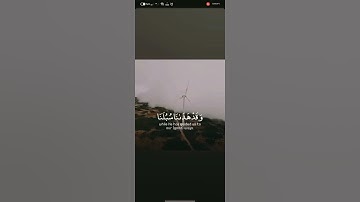 📜 سورة إبراهيم الآية (12)📜