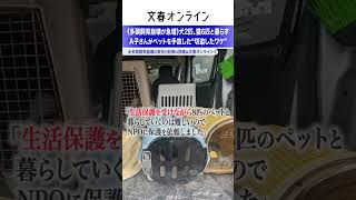 《多頭飼育崩壊が急増》犬2匹、猫6匹と暮らすA子さんがペットを手放した“切迫したワケ”