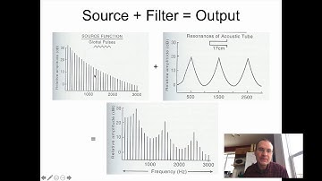 Ling 341 - Intro Phonetics - Source Filter Theory