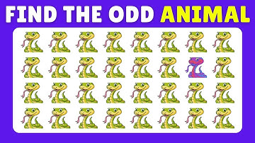 🎯 Find the ODD One Out – animal Quiz Challenge  | 50 Levels | Spot the Difference & Brain Test
