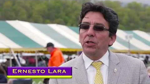 Road to Westminster (RTW): PRO DOG HANDLER ERNESTO...