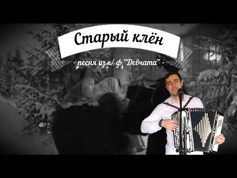 Песню со словами клен