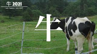 牛2021 〜 I am happy. you are? 〜