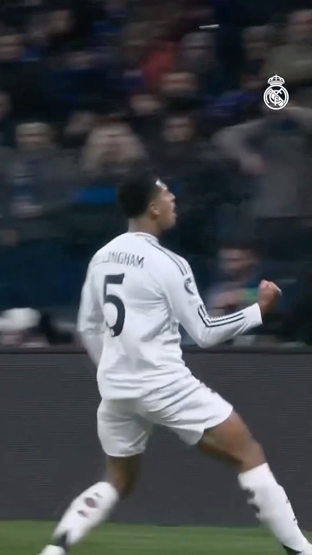 ? #Bellingham ? #UCL #RealMadrid