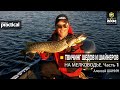 Твичинг шедов и шайнеров на мелководье. Алексей Шанин. Часть 1. Anglers Practical