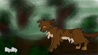 Cat walking through forest animation
