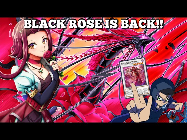 yugioh black rose cards Dragon Deck + Extra Deck + Sleeves Budget Yugioh Decks inflict 2400 damage to them Black Rose Dragon Is FINALLY