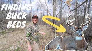 Scouting Buck Bedding in Big Woods Clear Cuts with Steve Sherk!