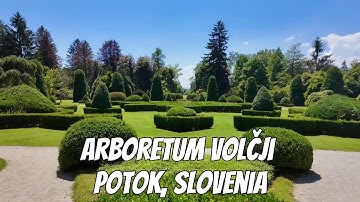 Arboretum Volčji Potok, Slovenia. Summer blooming big walk tour and rose exhibition (4K) relax video