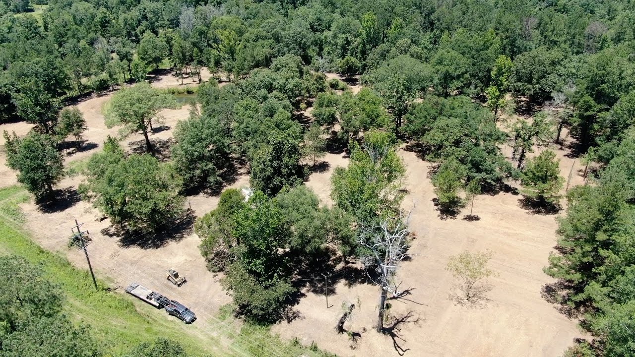 Forestry Mulching & Land Clearing in Folsom, Louisiana YouTube
