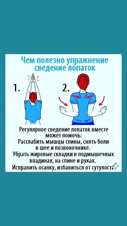 Полезное упражнение для спины #упражнение #спина #здоровье # ...