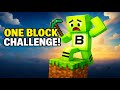 Can you Beat Minecraft with Just One Block?