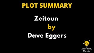 Plot Summary Of Zeitoun By Dave Eggers -  Summary Of Zeitoun By Dave Eggers