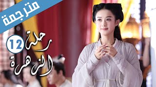 الحلقة 12 من الدراما الرومانسية ( رحلة الزهرة | The Journey of Flower )