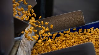 This Denver, PA factory makes 55 million pounds Goldfish crackers a year