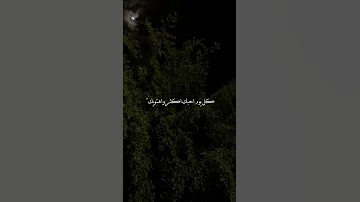 ايه احبك واعشقك واموت فيك 