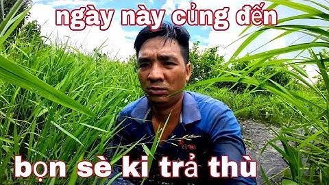 Cánh báo anh em đi đặt lờ cá,,đừng để giống như vũ