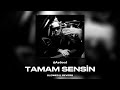 AYDEED Tamam Sensin Slowed Reverb