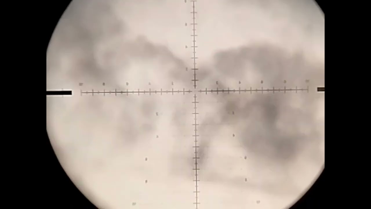 Mas uma caçada de pato aza branca e asa branca 