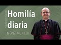 Homilía 14.06.2023 /Miércoles de la 10ª semana del Tiempo Ordinario