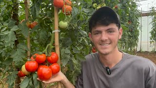 COM 20 ANOS ELE CUIDA DO SÍTIO E ENSINA COMO PLANTAR TOMATE - JÚLIO