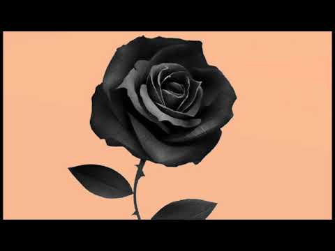 MALIBU-BROKEN ROSE (Official audio)