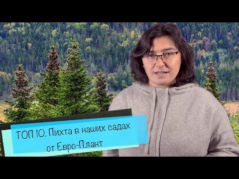 ТОП 10. Пихта в наших садах от Самойленко Натальи.