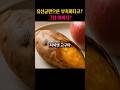 장내 환경, 음식만 바꿔도 확 달라집니다! #리뷰상궁 #shorts