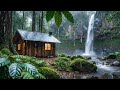 Cozy Cabin Rain by the Waterfall in a Peaceful Forest Ambience for Deep Sleep