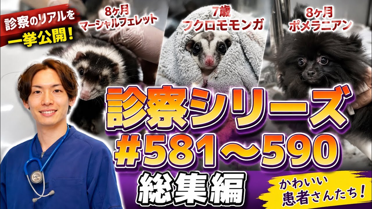 590 - YouTube
