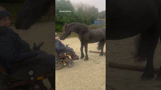 Such a special bond ❤️ Watch Faye and Majestic's full story here 👆 @majesticequine