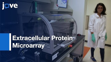 Extracellular Protein Microarray to Detect Receptor-Ligand Interaction | Protocol Preview