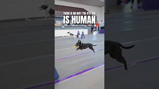 She Might Have Never Been Human