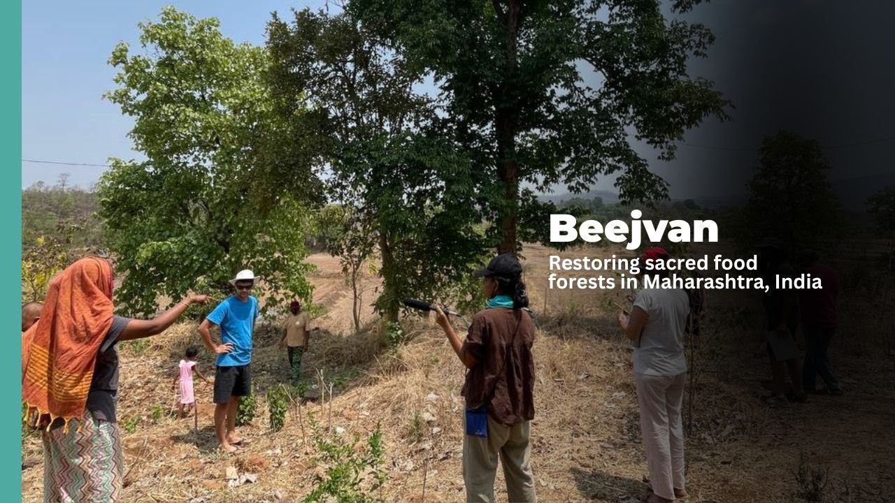 Beejvan | Restoring and regenerating sacred food forests in India