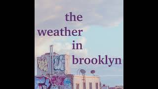 711: Thursday, November 30th, 2023 | The Weather in Brooklyn