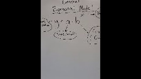 IM2 Video Assignment 1-3 Exponential Models PART 1