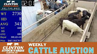 Clinton Stockyards Hwy 65 Corridor Saturday Cattle Trade April 11 2026