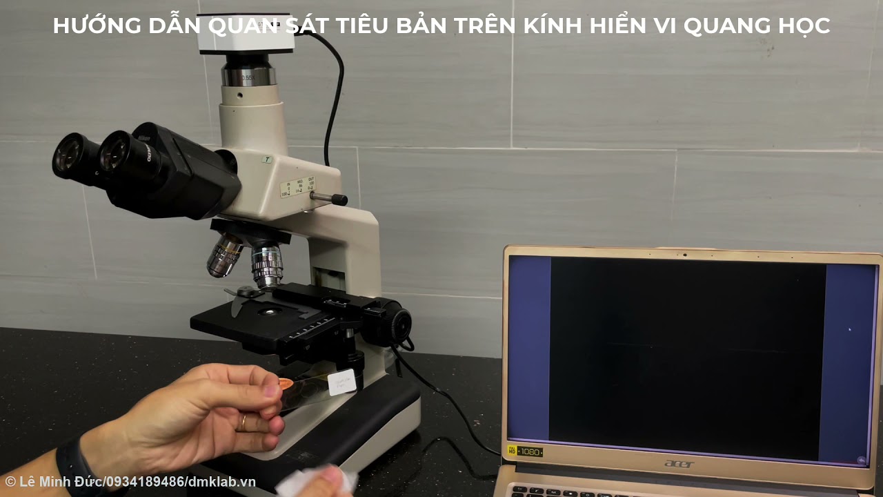 Phần 2 Hướng dẫn quan sát tiêu bản trên kính hiển vi quang học