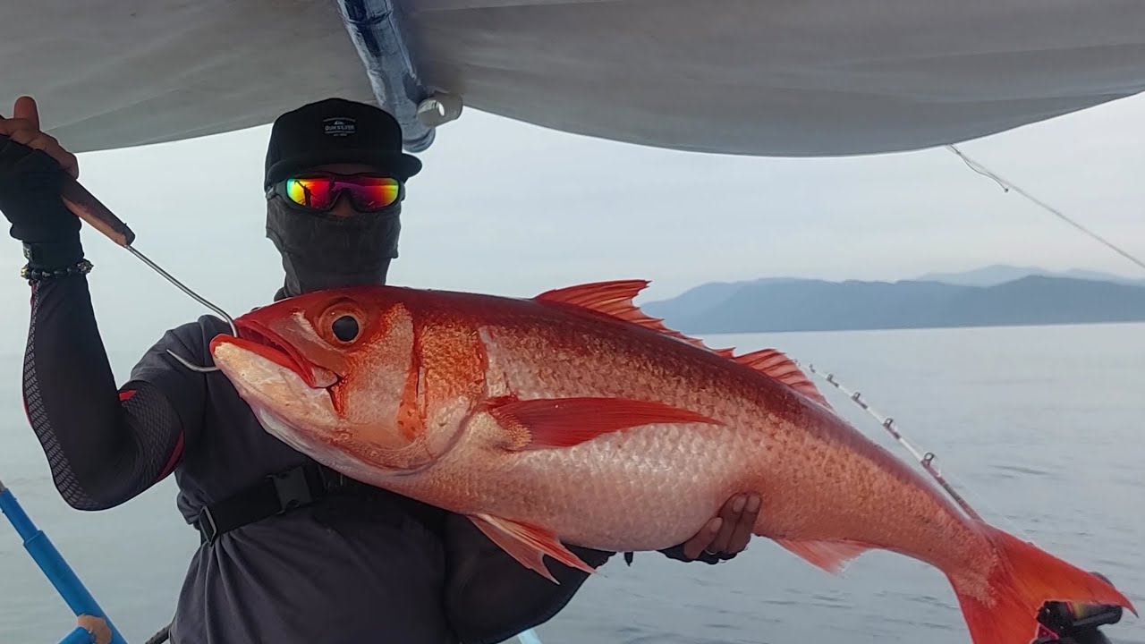Deep Sea Jigging EP 7. Hauled a 9.5Kg Ruby Snapper. - YouTube