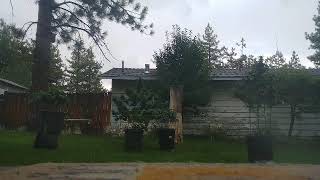 Thunder and Rain on my plants!