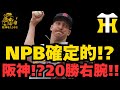エリック・フェッディがNPB移籍“確定的”報道⁉️阪神⁉️【阪神新外国人候補‼️】考察‼️#阪神タイガース #阪神 新外国人#新外国人候補 2026#エリック・フェッディ#ルーカス#デバニー