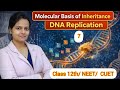 DNA Replication (Part-2)